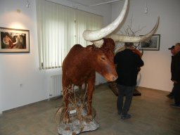 09.11.2024 - Izlet (Dolenjska)
