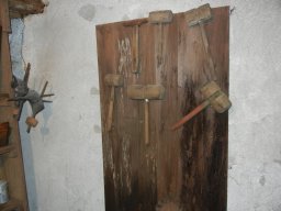 15.11.2025 ZŠAM Kozje